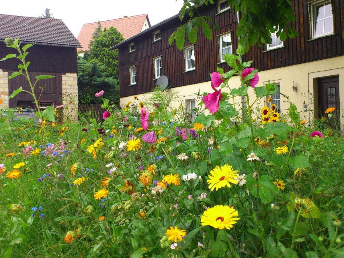 Comfy Apartment In Weissig With Garden Szoba fotó